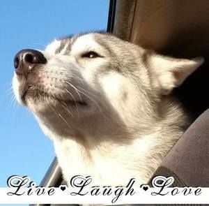 Meet your Posher, Judy